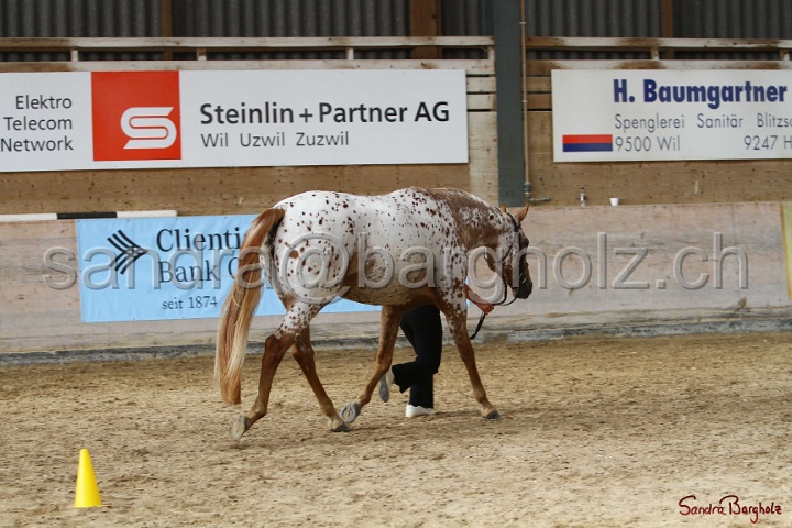 24-ApHC HIH_009.jpg